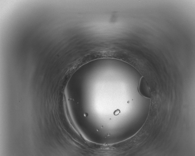 X0000064740752200602131316