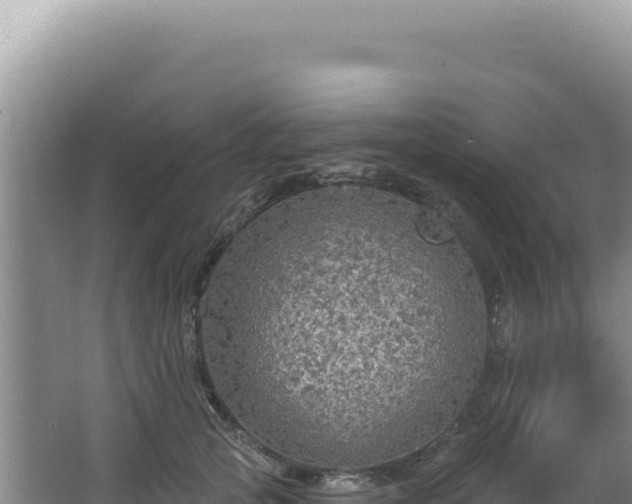 X0000064740753200602131316