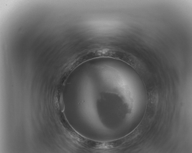 X0000064740754200602131316