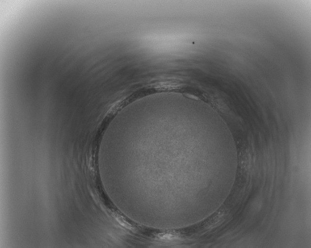 X0000064740755200602131316