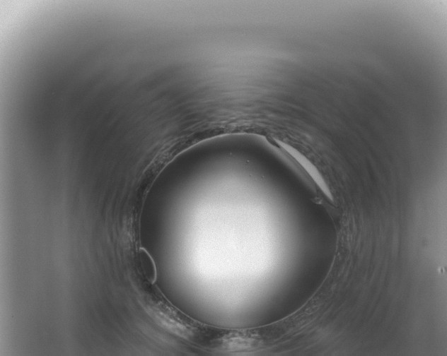 X0000064740756200602131316