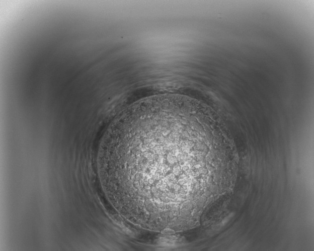 X0000064740757200602131316