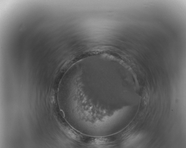 X0000064740758200602131316