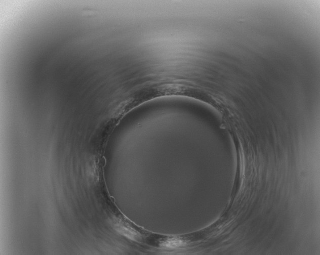 X0000064740759200602131316