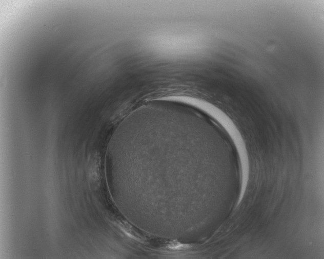 X0000064740760200602131316