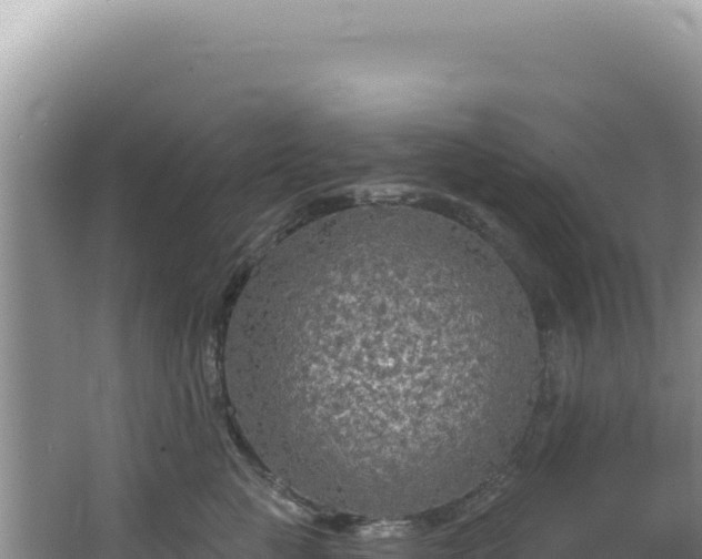 X0000064740761200602131316