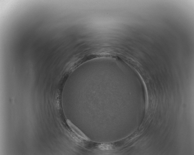 X0000064740762200602131316