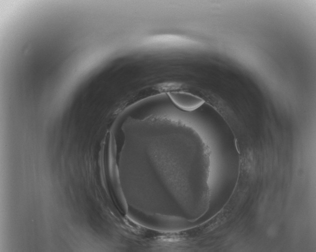 X0000064740763200602131316