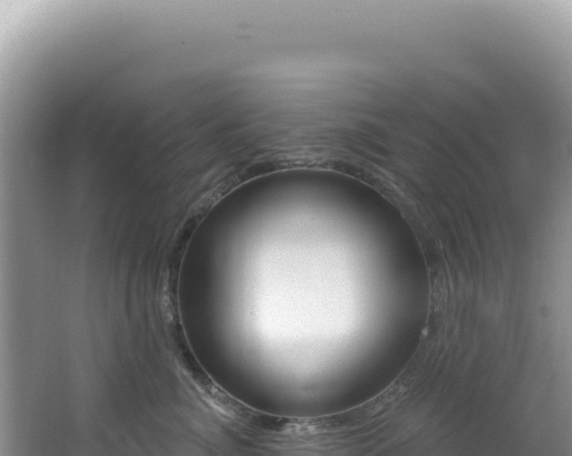 X0000064740764200602131316