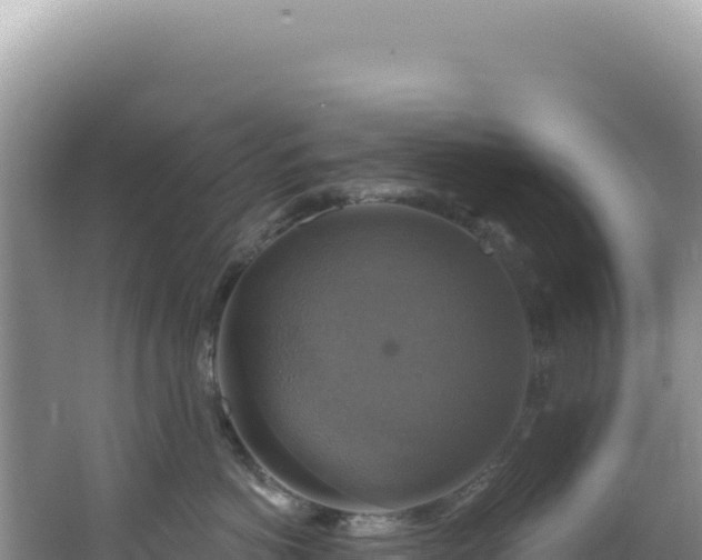 X0000064740766200602131316