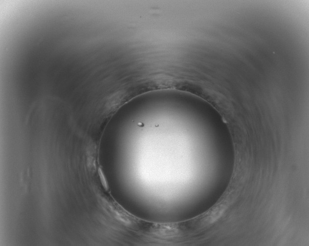 X0000064740768200602131316