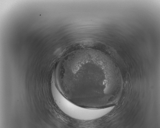 X0000064740772200602131315