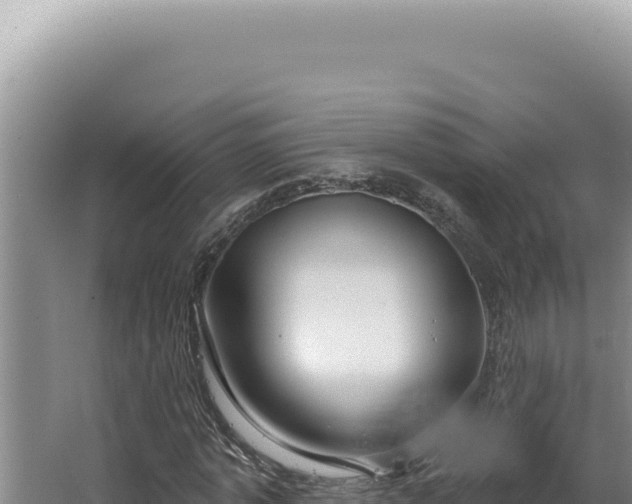 X0000064740773200602131315