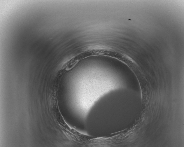 X0000064740775200602131315