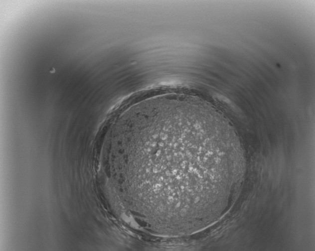 X0000064740776200602131315