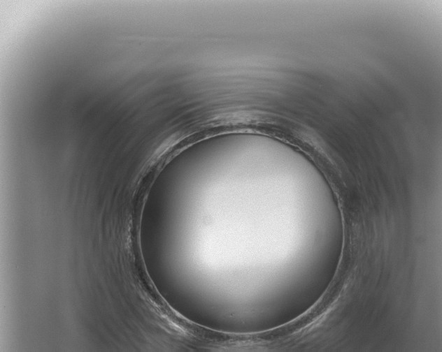 X0000064740778200602131315