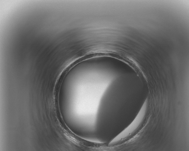 X0000064740779200602131315