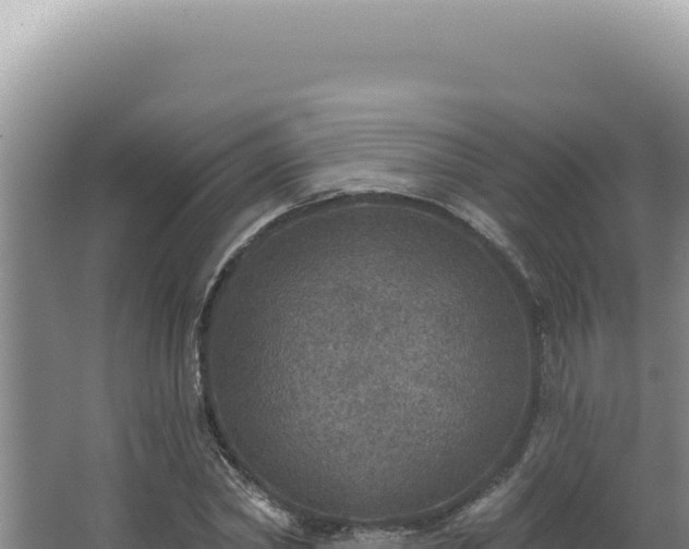 X0000064740782200602131315