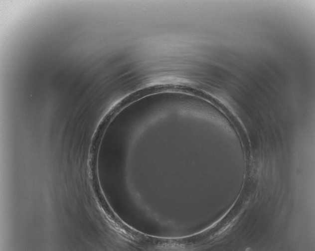 X0000064740783200602131315