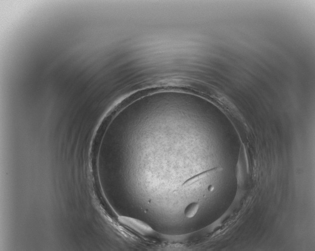 X0000064740784200602131315