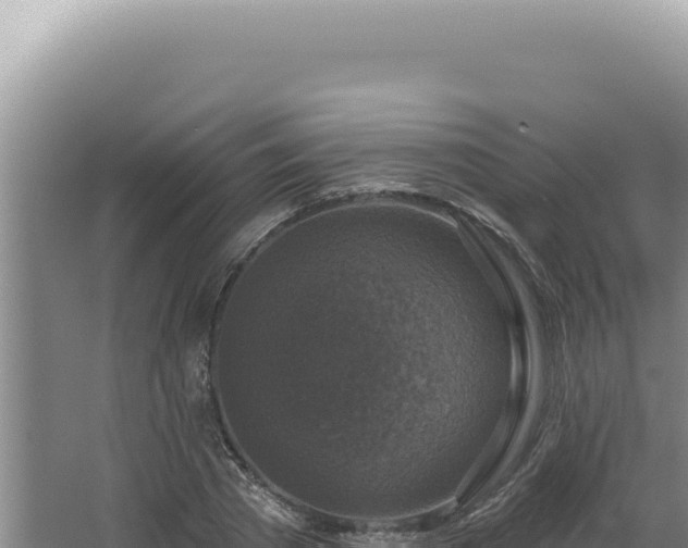 X0000064740785200602131315