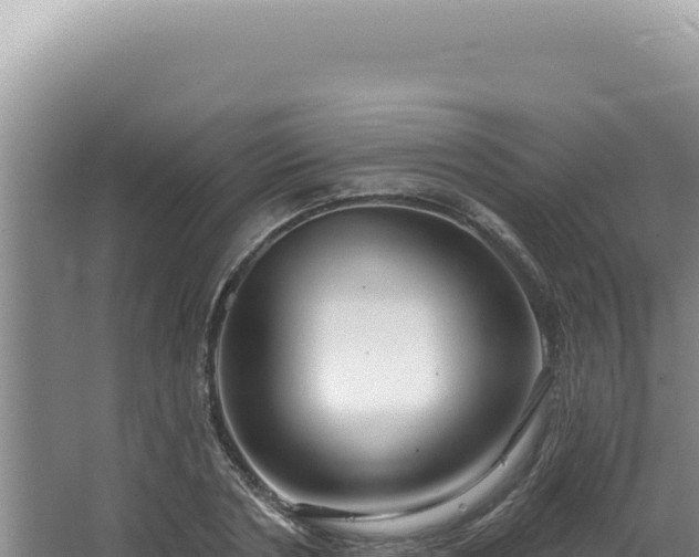 X0000064740786200602131315