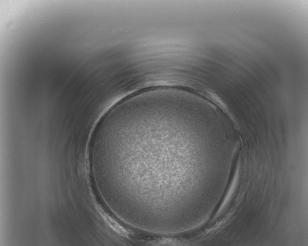 X0000064740787200602131315