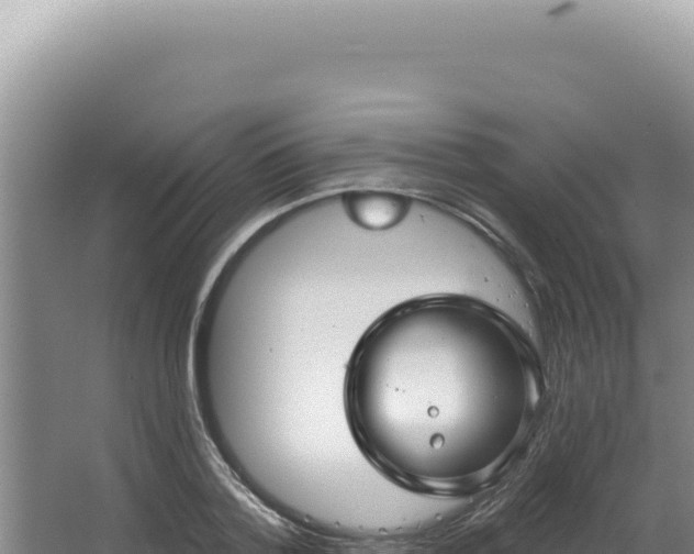 X0000064740788200602131315