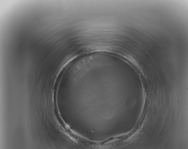 X0000064740790200602131315