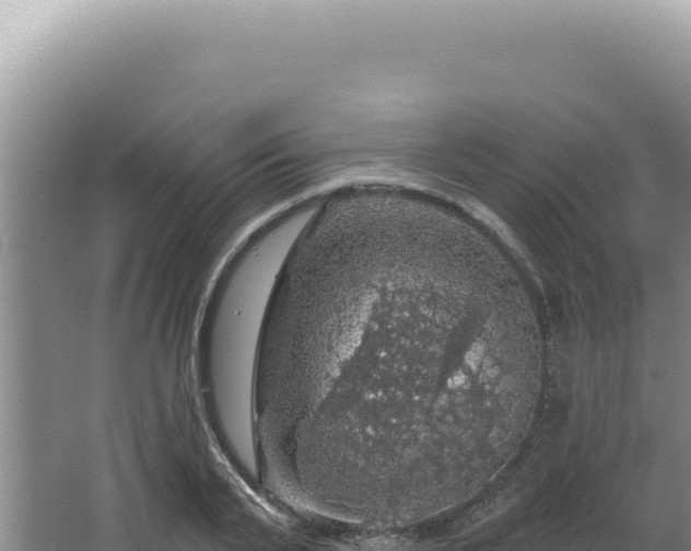 X0000064740791200602131315