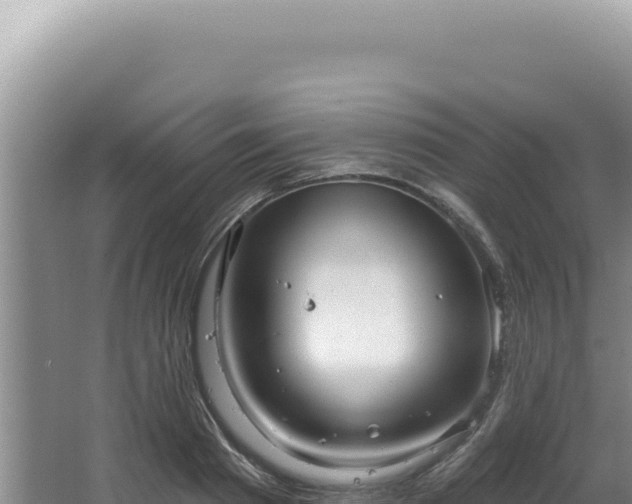 X0000064740793200602131315