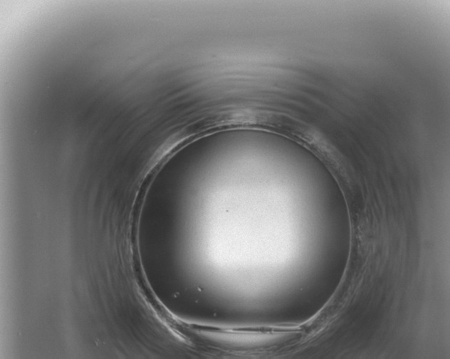 X0000064740794200602131315