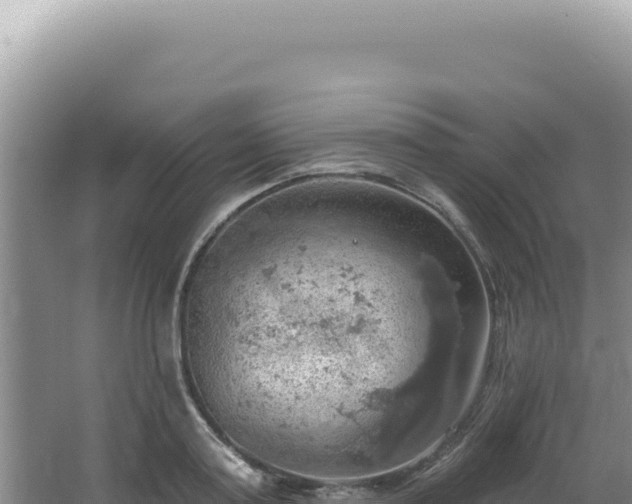 X0000064740795200602131315