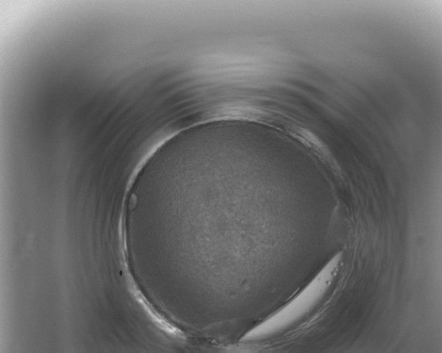 X0000064740796200602131315