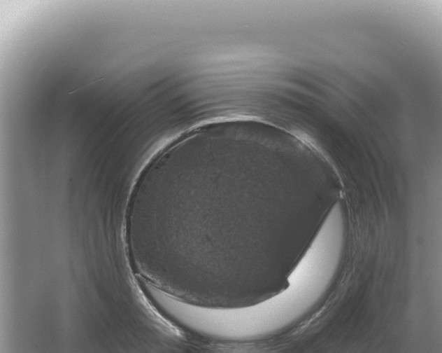 X0000064740797200602131315