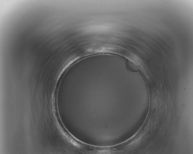 X0000064740798200602131315