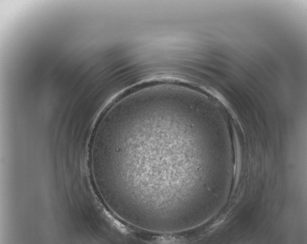 X0000064740799200602131315