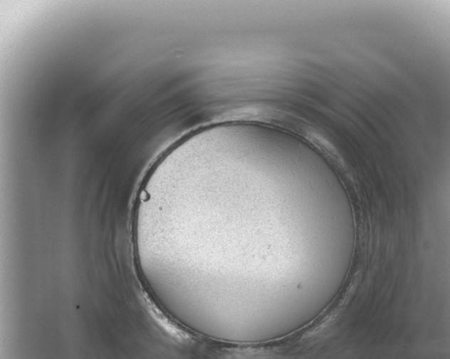 X0000064740800200602131315