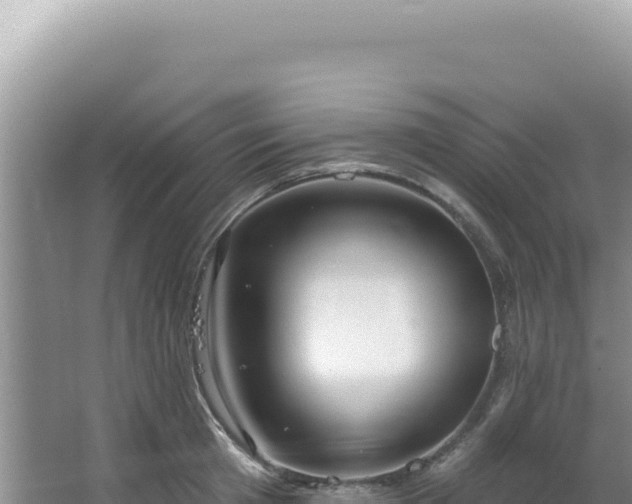 X0000064740801200602131315