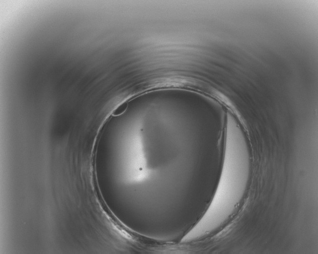 X0000064740802200602131315