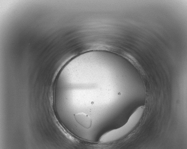 X0000064740804200602131314