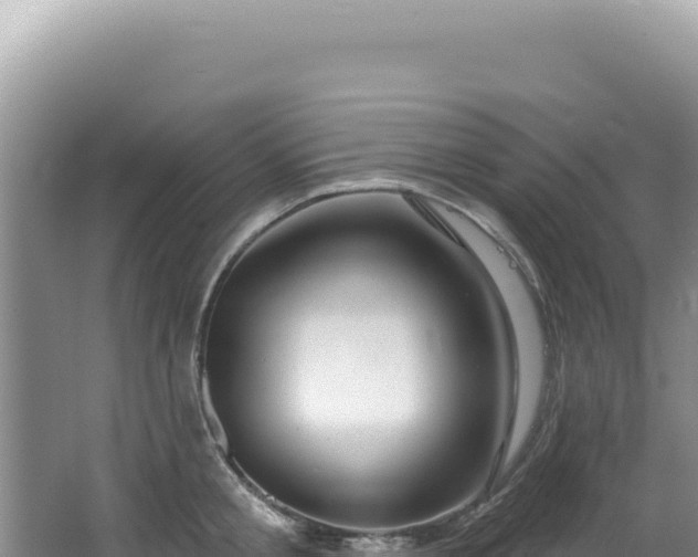 X0000064740805200602131314