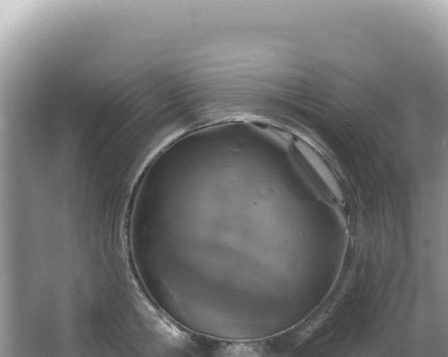 X0000064740806200602131314