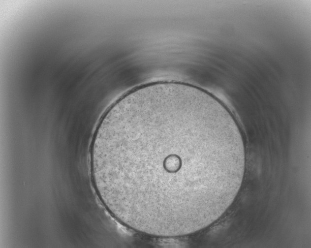 X0000064740807200602131314