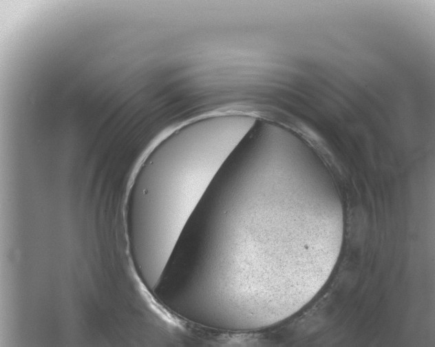 X0000064740808200602131314