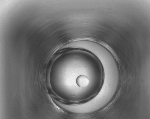 X0000064740809200602131314