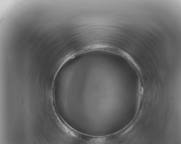 X0000064740810200602131314