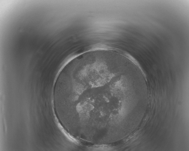 X0000064740811200602131314