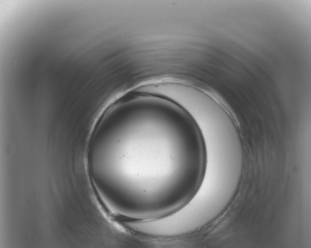 X0000064740813200602131314