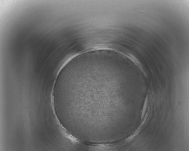 X0000064740814200602131314